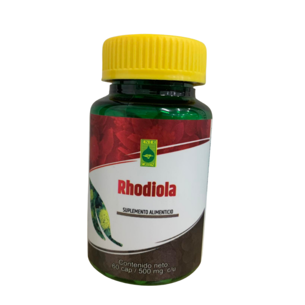 Rhodiola